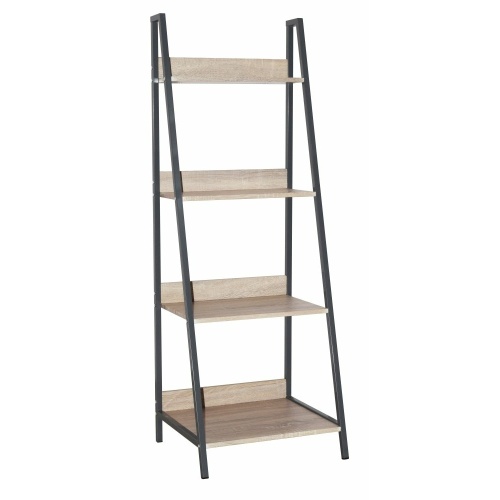 Loft ladder bookcase