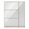 Shoe-Cabinet-3-Flip-Down-Mirror-Doors1.jpg