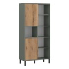 Darwin Bookcase 2 Door Green