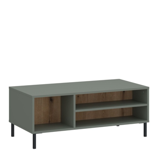 Darwin Coffee Table in Green