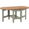 Santos Drop Leaf Coffee Table Green